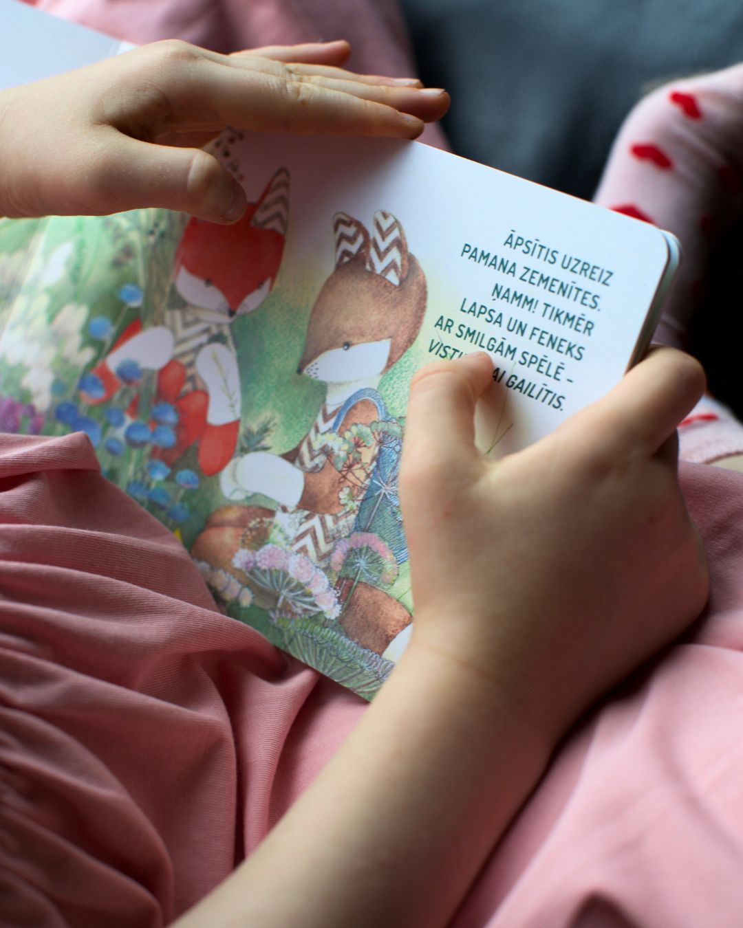 Kartona bilžu grāmata "Lapsa pļavā"
